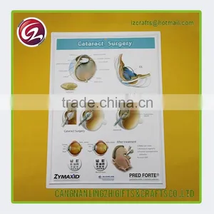 New Design Urinary Systme 3d Medical Chart thumbnail-1
