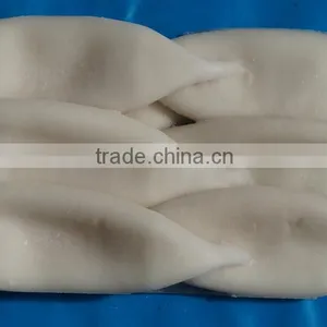 Frozen Squid Tube Todarodas Pacificus BQF thumbnail-2