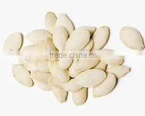 Roasted Salted Shin Skin Pumpkin Seeds thumbnail-1