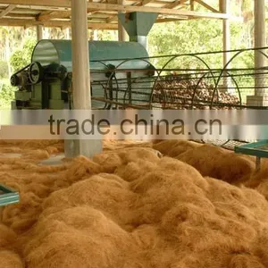 Coconut Fiber (QQ : 2598494113) thumbnail-3