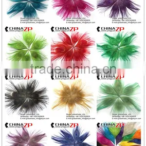 CHINAZP Wholeasale Top Selling Special Colors Dyed Turquoise Trimmed Short Peacock Feathers for Girls thumbnail-6