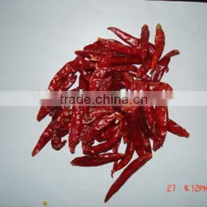 Chilli thumbnail-1