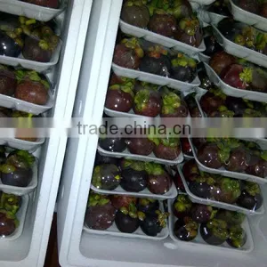 Fresh Mangosteen thumbnail-1