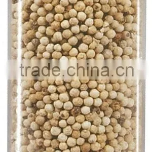 White Pepper thumbnail-1