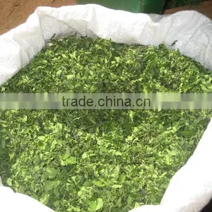 MORINGA DRIED LEAF/ MORINGA OLEIFERA thumbnail-3