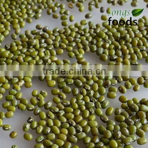 Green Gram for Vigna Radiata Type thumbnail-1