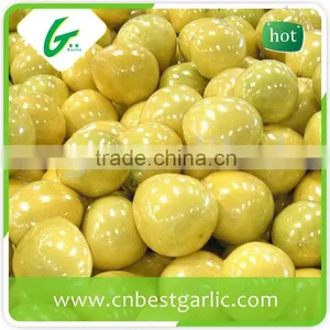 Fresh Sweet Honey Pomelo in Box thumbnail-6