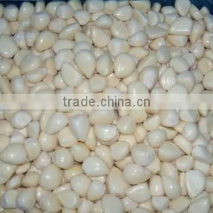IQF Peeled Garlic/frozen Peeled Garlic/ Frozen Garlic thumbnail-2
