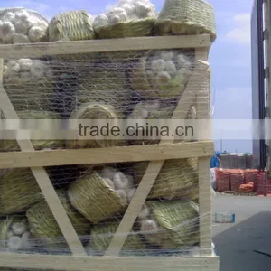 White Garlic thumbnail-1
