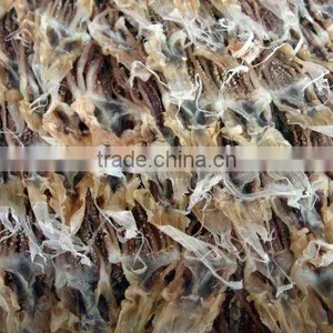 Dry Squid Tip thumbnail-1