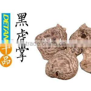 Dried Sarcodon Imbricatus Mushroom thumbnail-4