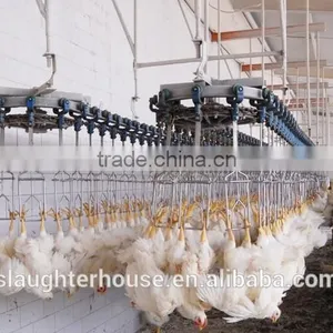 High Quality Stainless Steel Broiler Used Feather Cleaning Machinery thumbnail-1