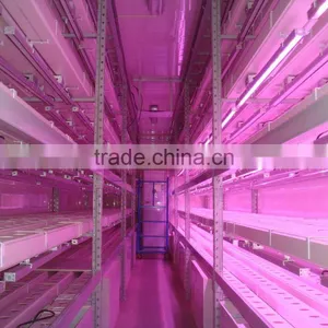 Container Greenhouse thumbnail-1