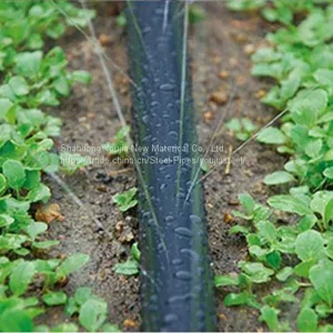 HDPE Agricultural Sprinkler Drip Irrigation System / Irrigation Gardening thumbnail-1