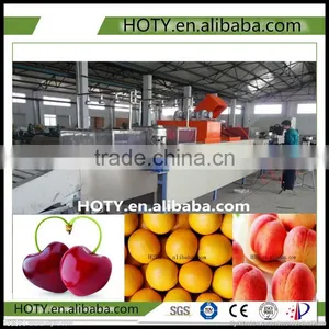 Top Quality Fruit Washing/waxing/grading Machine thumbnail-1