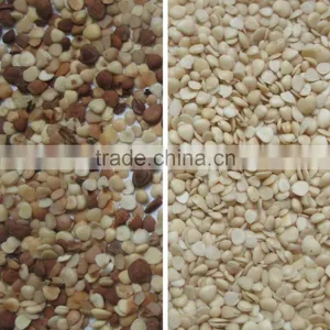 ZRWS Apricot Ccd Color Sorter Machine/raisins Color Sorting Mahcine thumbnail-5