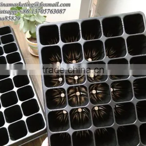 Large Plug Plant Root Trainer 45-cell Seed Trays Trees Large Vegetables thumbnail-3