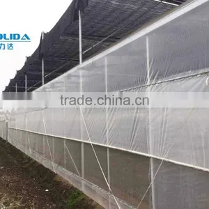 BLD Large Multi-span Venlo Plastic Film Greenhouse and Gutter Connected Greenhouse thumbnail-2