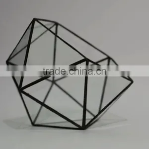 Home Design Clear Glass Terrarium Succulent Plants Greenhouses thumbnail-2