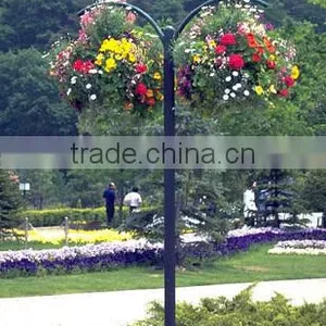 SOL Decorative Pot for Garden Hydroponics Watering Pot Live Plant Pot thumbnail-1