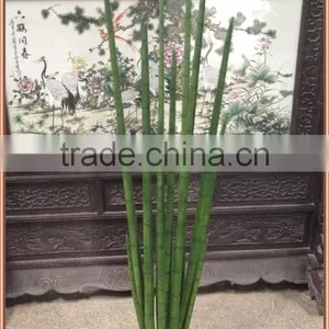 Big Artificial Reedy Succulent Plant for Office Decoration thumbnail-1