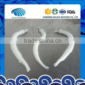 IQF Silver Fish thumbnail-1