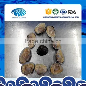 Wild Caught Frozen Baby Clam Half Shell thumbnail-2