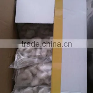 Fish Viet Nam of Vannamei Shrimp thumbnail-1