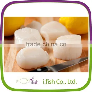 Scallop thumbnail-1