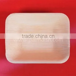 Biodegradable Tableware thumbnail-4