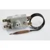 WQS70-I Capillary and Manual Reset Thermostat Temperature Switch and Thermostat for Bain Marie thumbnail-1