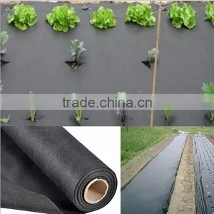 Steady Quality China Agricultural PP Non-woven Fabric,Crop Cover thumbnail-3