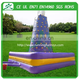 Inflatable Rock Climbing Wall, Inflatable Rock Climbing Wall Price for Sale thumbnail-2