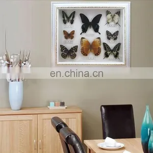 Real Butterfly Mounted in Frames - Decoration & Gifts thumbnail-1
