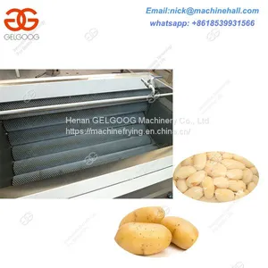 Brush Washing Machine/ Fruit and Vegetable,Potato/Carrot Brush Washer and Peeler Machine thumbnail-2