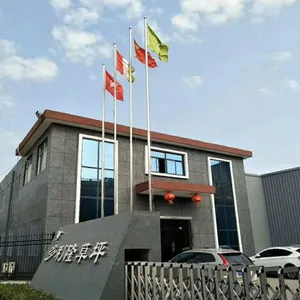 Xi An Dorelom Sports Lawn Co,. Ltd company overview - view 2 thumbnail