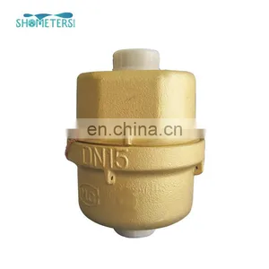 DN20 Volumetric Rotary Piston Water Meter Used in County Public Clean Water Supply thumbnail-5
