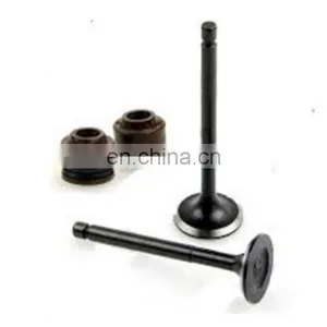 Superbikes Accessories and Spare Parts Inlet Exhaust Engine Valves for Bajaj Pulsar Ns200 Rs200 thumbnail-5