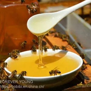 Honey thumbnail-4