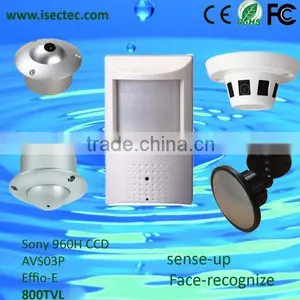 High Quality Sony Ccd 420/480/650/700/800TVL CCTV Hidden Camera With Audio thumbnail-1