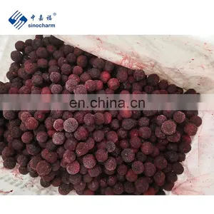 Tropical Fruit Yungmei Bayberry Frozen Waxberry thumbnail-5