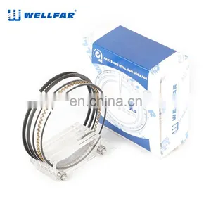 Wellfar Auto Parts Steel Ring Piston 96mm for Chevrolet Trail Blazer Yukon Silverado 2500,3500 Escalade Car thumbnail-3