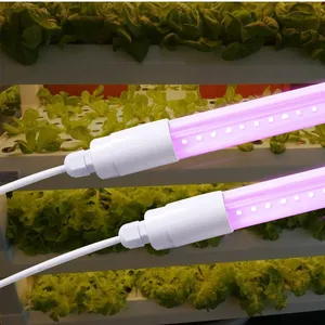 T8 Grow Lights | Led Grow Lights | t8 Plant Lamp | T8 Grow Light Tube thumbnail-1