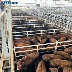 Portable Hot Dip Galvanized Steel Livestock Cattle Sheep Panels Safety Fencing Horse Yard 6ft Folding Eco-Friendly Powder thumbnail-2