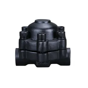 Wdv BK Series Bimetallic Steam Trap | Durable Thermostatic Steam Trap for Steam Main, Steam Tracing and Industrial Heating Systems thumbnail-2