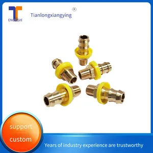 Tlxy Mold Connector Tlz87pl/13/g1/4 Water - Carrying Copper Nozzle Plug, Quick Connector, Inverted Insertion Nozzle thumbnail-1