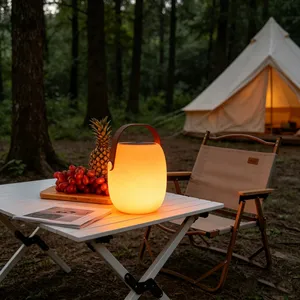Modern Design LED Music Table Lamp Rechargeable Cordless Remote Control Dimmable Ambient Light thumbnail-3