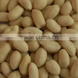 New Crop Blanched Peanut Kernel thumbnail-1