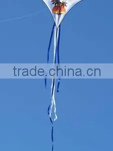 Indian Kites thumbnail-1