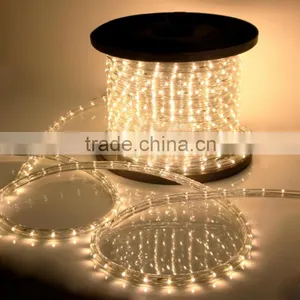 CE ROHS Approve Copper Wire Round Submersible Led Rope Lights thumbnail-1